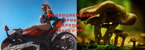 дурь Алексин