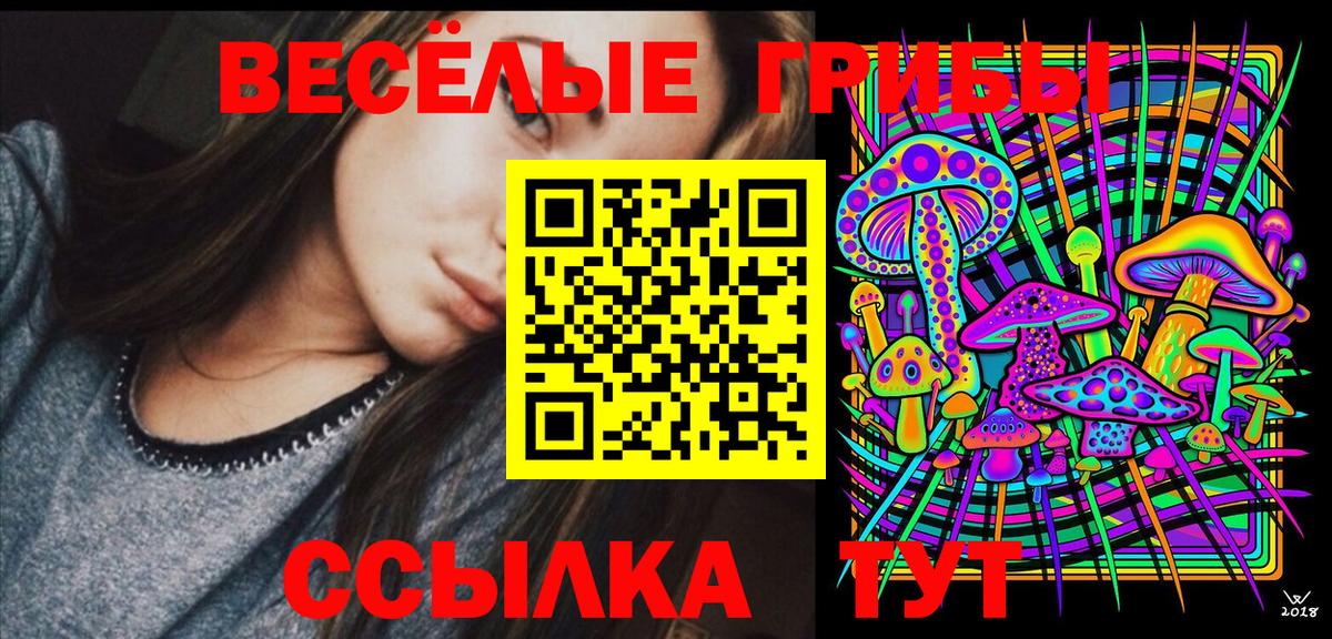 Галлюциногенные грибы Psilocybe  Вход с VPN  закладки  Карачаевск  Галлюциногенные грибы мицелий 